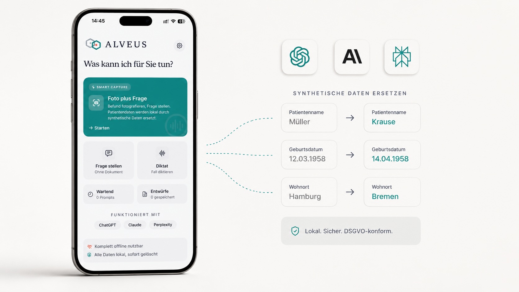 Alveus — private AI bridge for clinical text. Synthetische Daten schützen Patientenidentität.